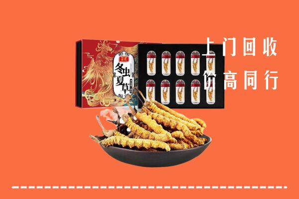 三明回收虫草